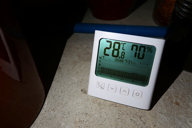 7/31の温度グラフと平均温度　平均湿度